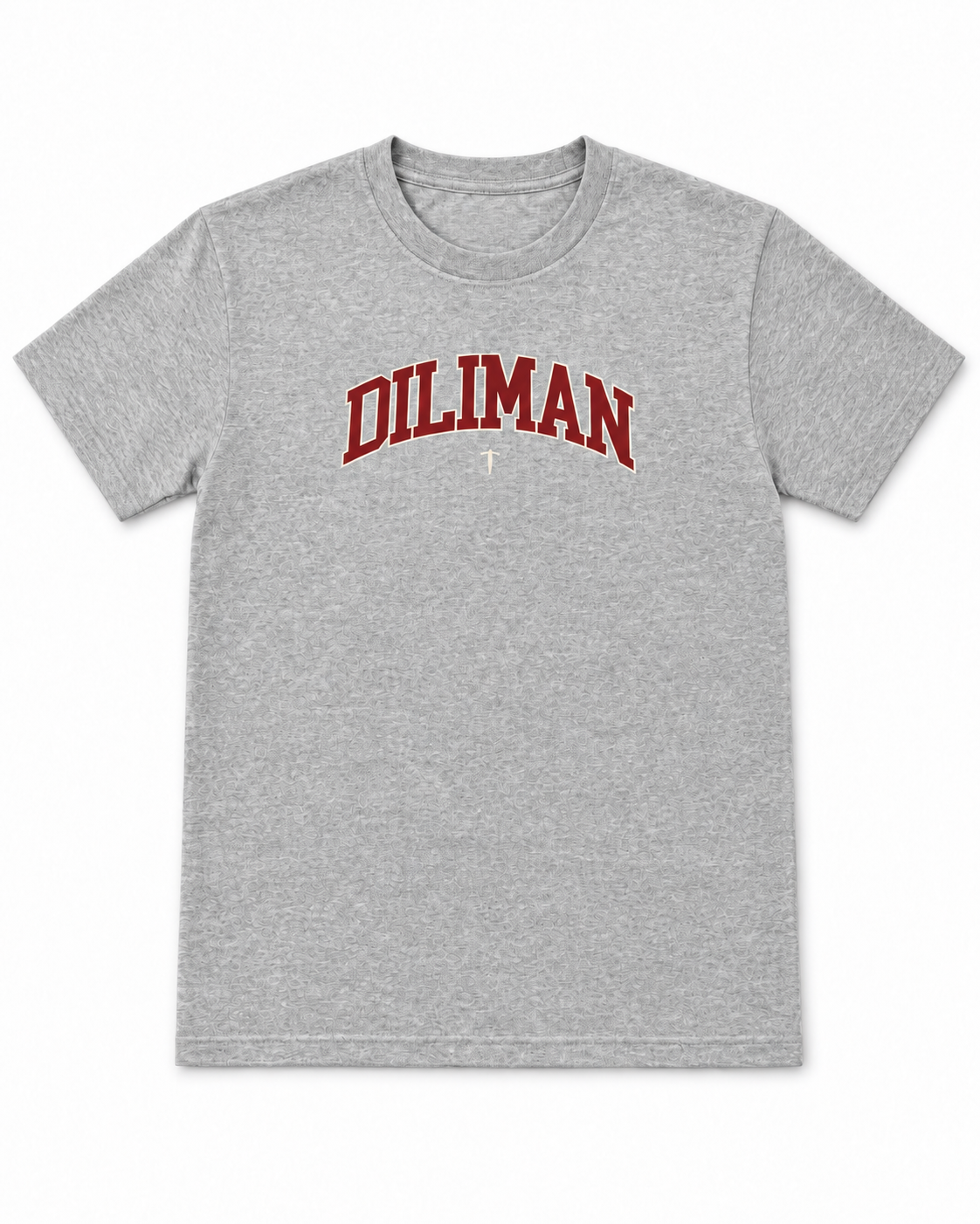 Diliman Arch Tee - Gray